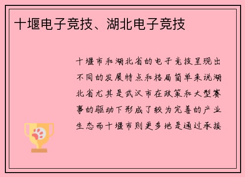 十堰电子竞技、湖北电子竞技